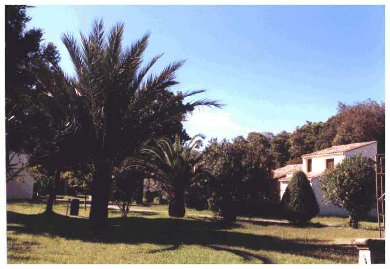 Domaine De L'Avidanella Santa-Lucia-di-Moriani Exterior foto