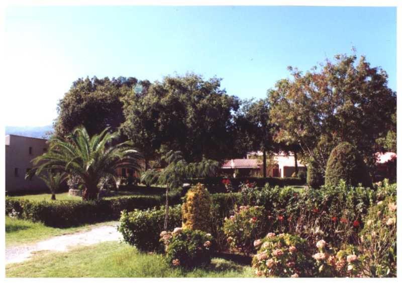 Domaine De L'Avidanella Santa-Lucia-di-Moriani Exterior foto