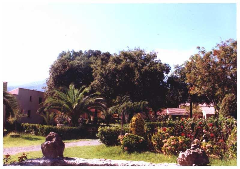 Domaine De L'Avidanella Santa-Lucia-di-Moriani Exterior foto