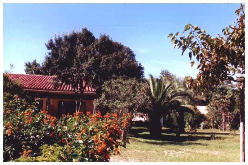 Domaine De L'Avidanella Santa-Lucia-di-Moriani Exterior foto