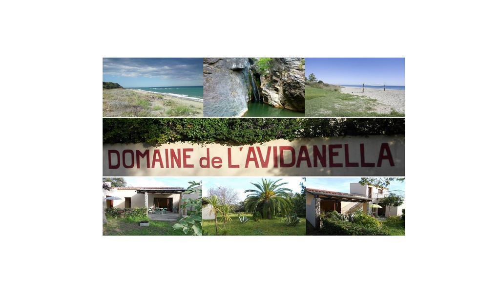 Domaine De L'Avidanella Santa-Lucia-di-Moriani Exterior foto