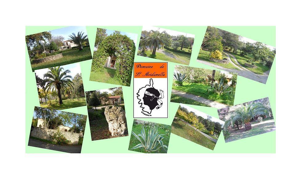 Domaine De L'Avidanella Santa-Lucia-di-Moriani Exterior foto